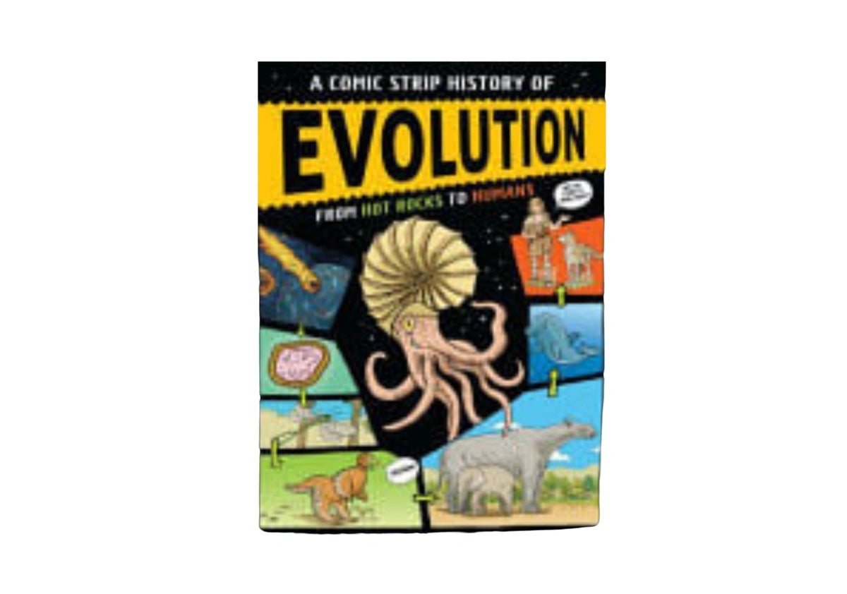 A Comic Strip History of Evolution From Hot Rocks to Humans