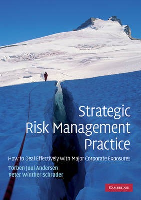 Strategic Risk Management Practice How to Deal Effectively with Major Corporate Exposures