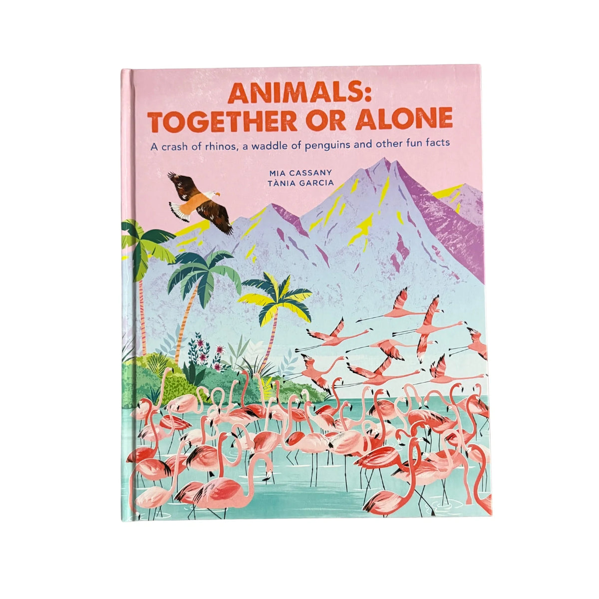 Animals: Together or Alone: A crash of rhinos, a waddle of penguins and other fun facts