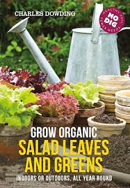 Grow Organic Salad Leaves and Greens Indoors Or Outdoors, All Year Round