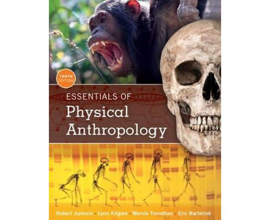Essentials of physical anthropology