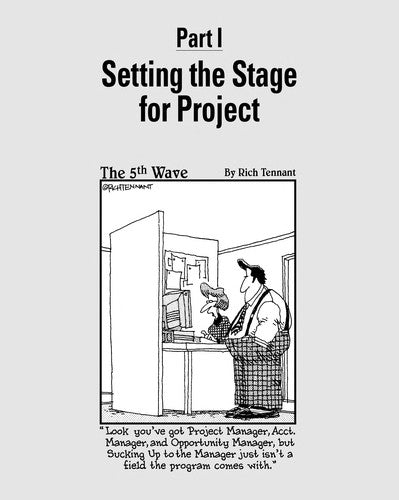 Project 2010 For Dummies