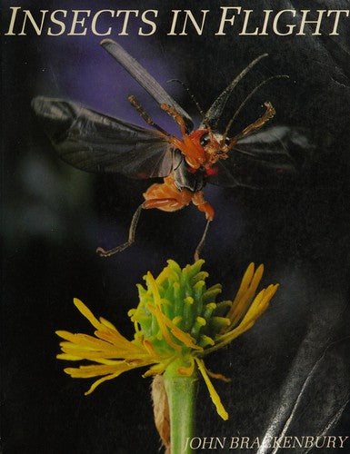Insects in Flight