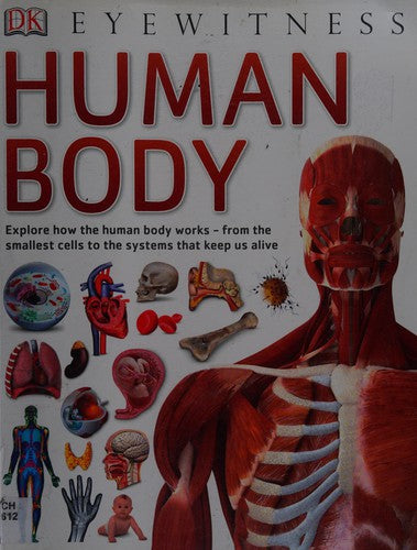 Human Body