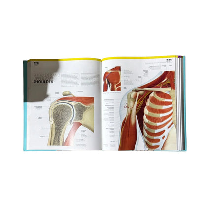 The Complete Human Body