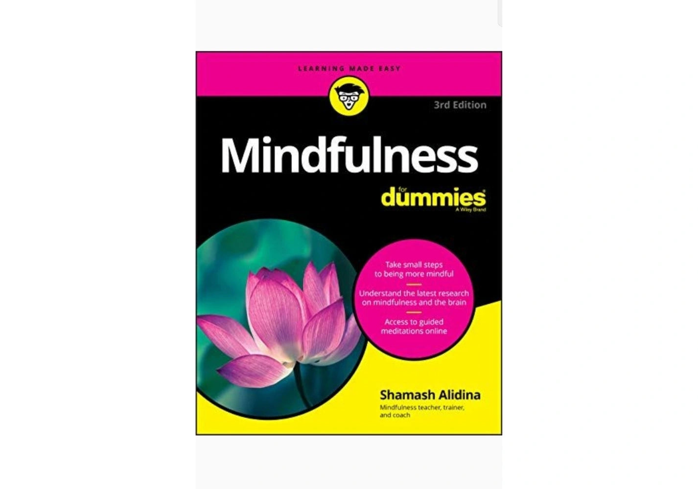 Mindfulness For Dummies