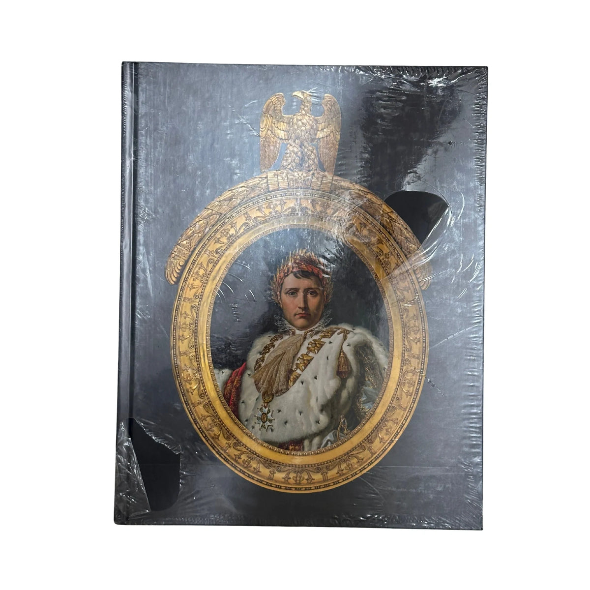 Napoleon Bonaparte Imperial Portrait & History