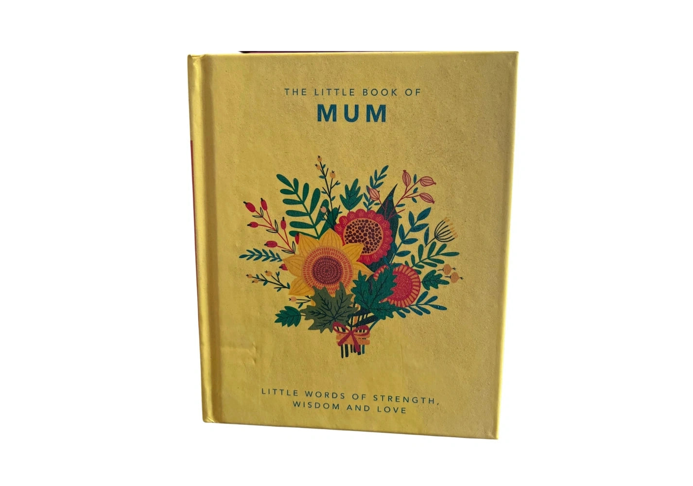 The Little Book of Mum: Little Words of Strength, Wisdom and Love