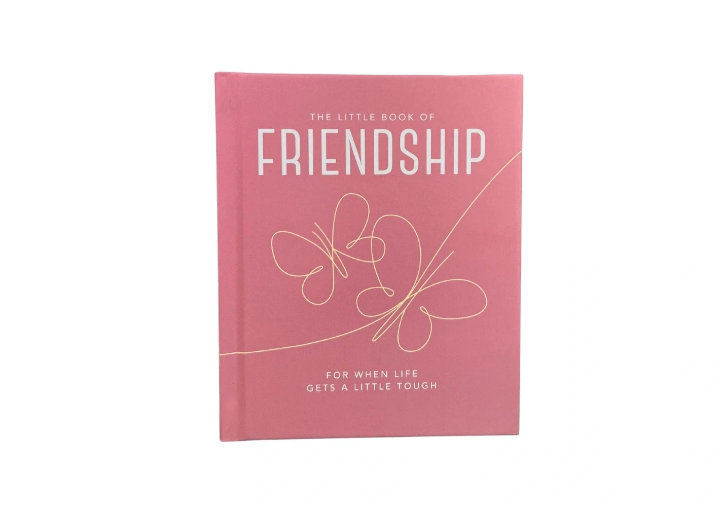 The Little Book of Friendship: For when life gets a little tough (Little Books of Wellbeing)