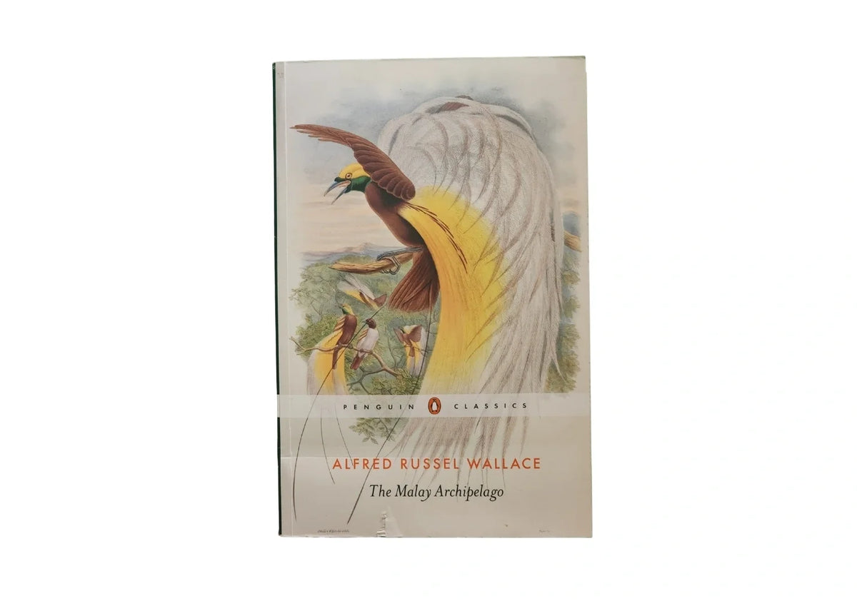 The Malay Archipelago