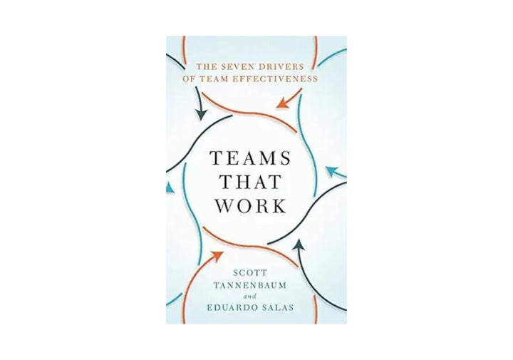 Teams That Work: The Seven Drivers of Team Effectiveness