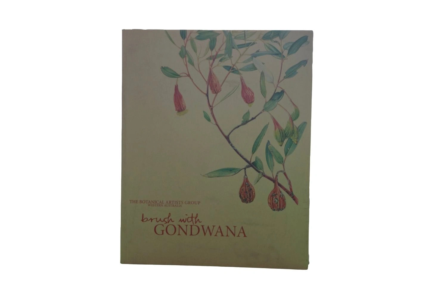Brush with Gondwana Botanical Artists Group of Western Australia