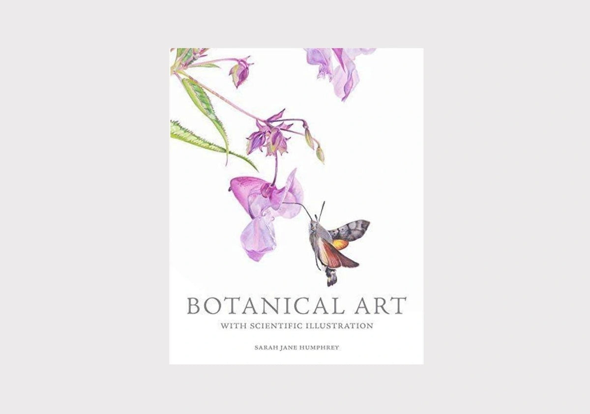 Botanical Art with Scientific Illustration