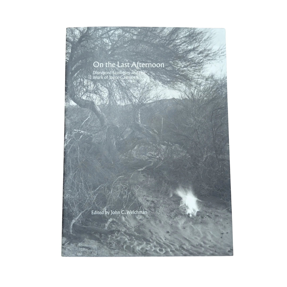 On the last afternoon: disrupted ecologies and the work of Joyce Campbell