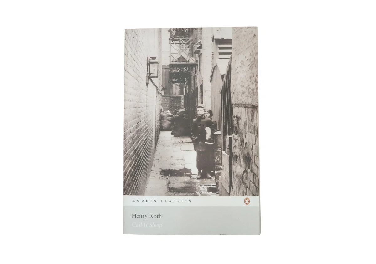 Call it Sleep (Penguin Modern Classics)