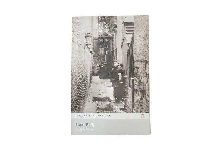 Call it Sleep (Penguin Modern Classics)