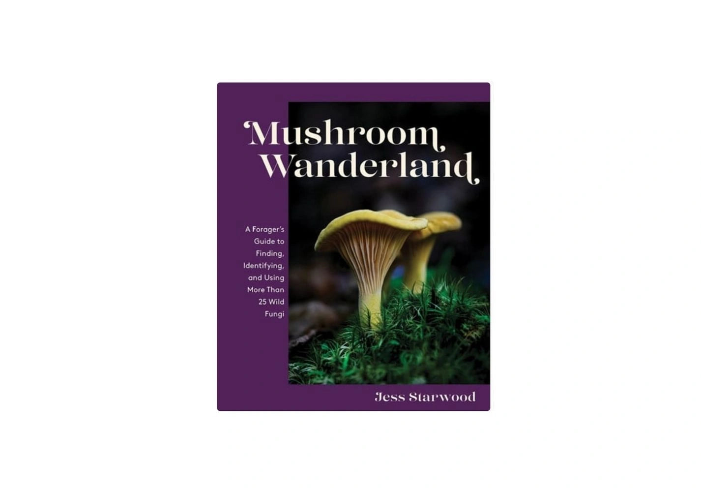 Mushroom Wanderland A Forager's Guide to Finding, Identifying, and Using More Than 25 Wild Fungi