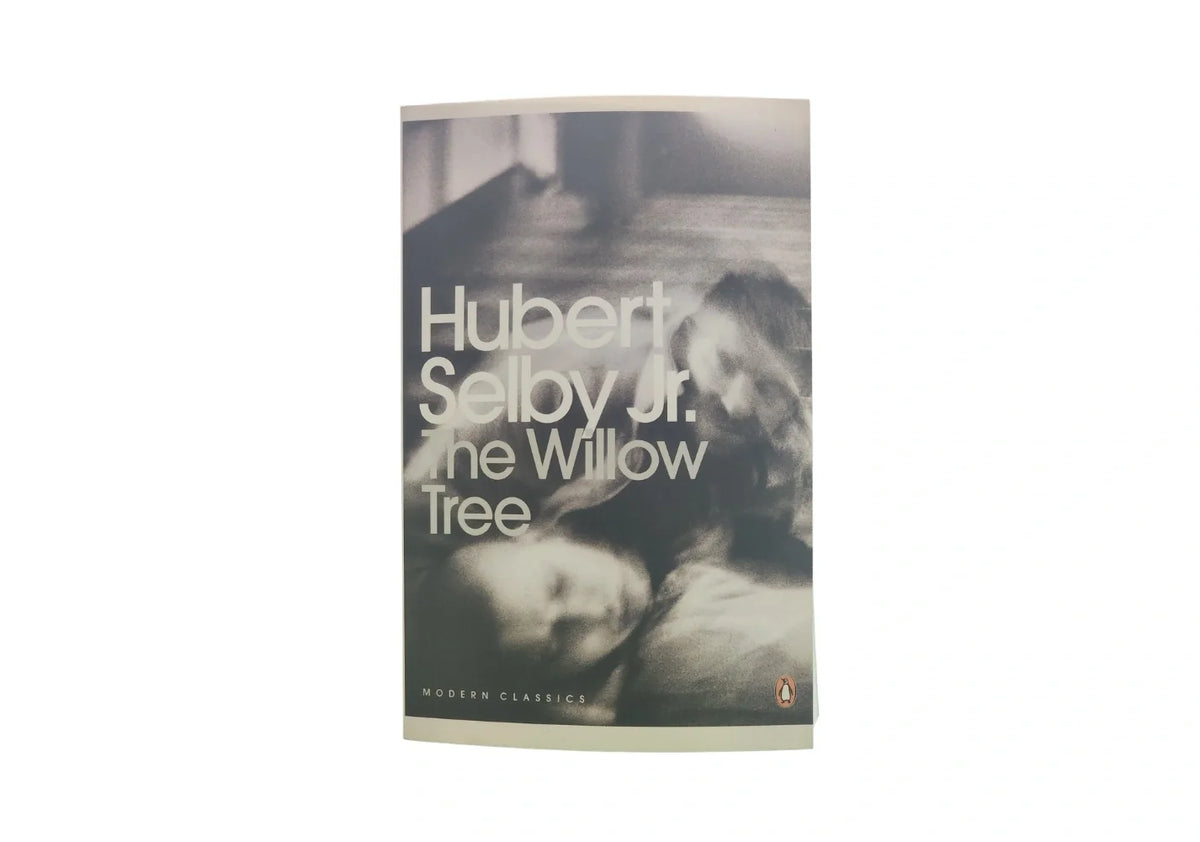 Modern Classics the Willow Tree (Penguin Modern Classics)