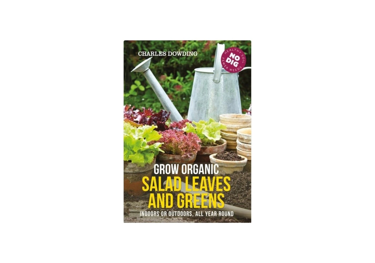 Grow Organic Salad Leaves and Greens Indoors Or Outdoors, All Year Round