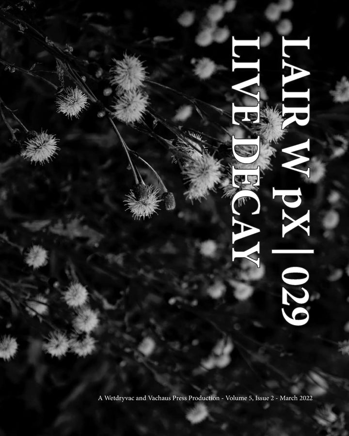 LAIR W PX | 029 Live Decay
