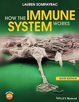 How the immune system works