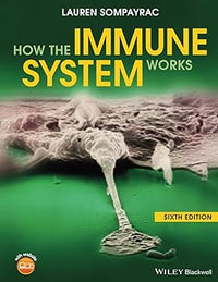 How the immune system works