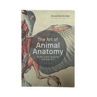 The Art of Animal Anatomy: All life is here, dissected and depicted
