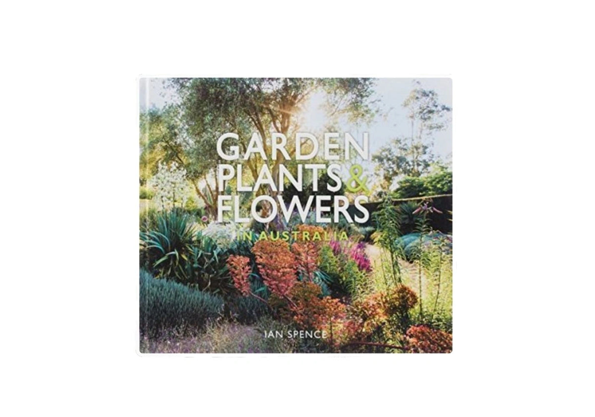 Garden Plants and Flowers in Australia
