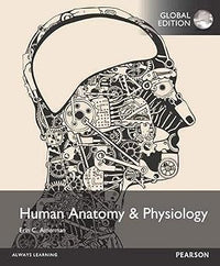 Human anatomy & physiology 17