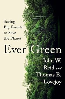 Ever Green: Saving Big Forests to Save the Planet