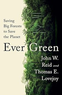 Ever Green: Saving Big Forests to Save the Planet