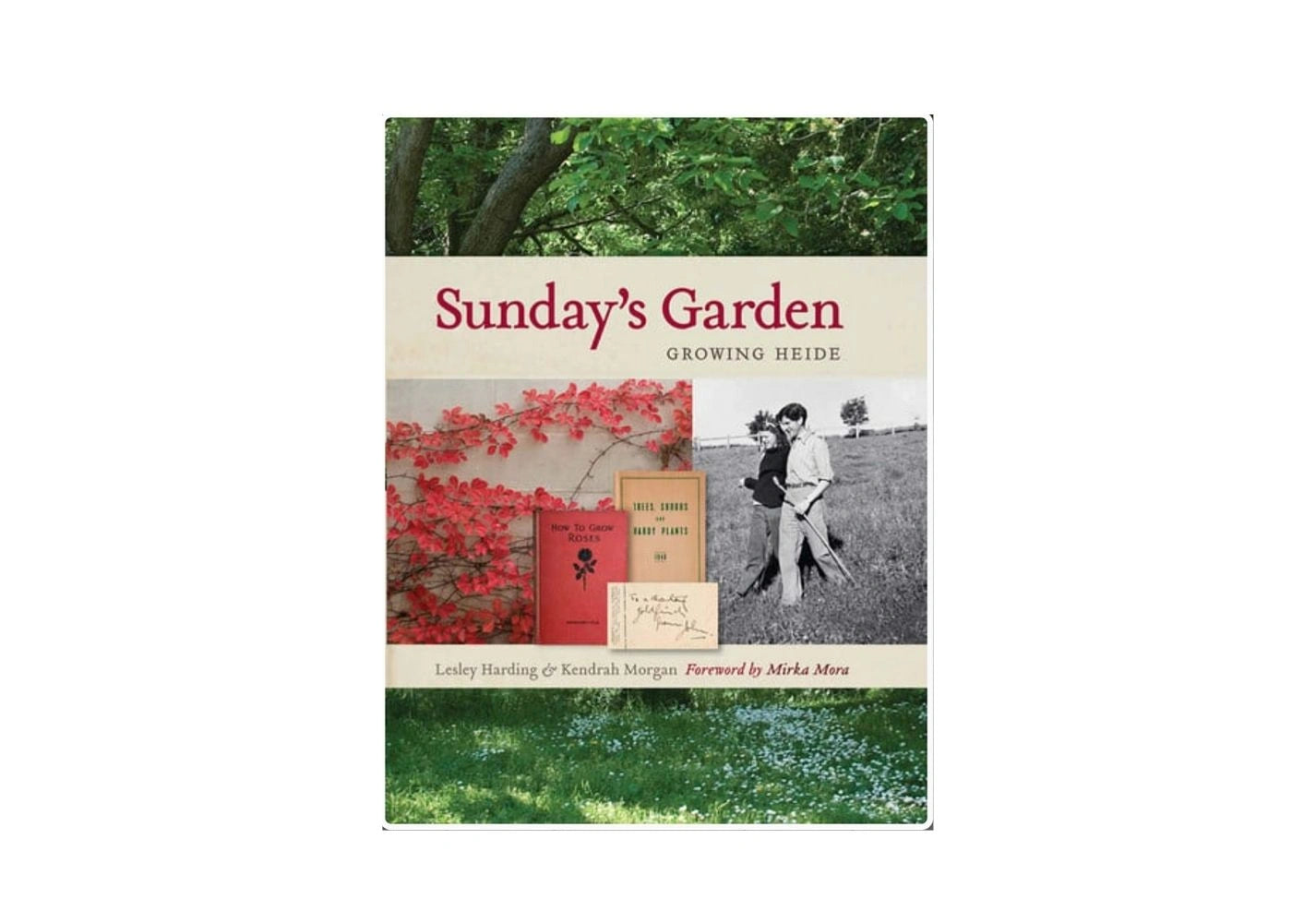 Sunday's Garden Growing Heide