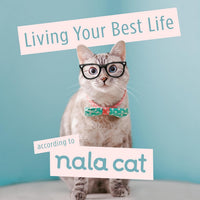 Living Your Best Life According To Nala Cat