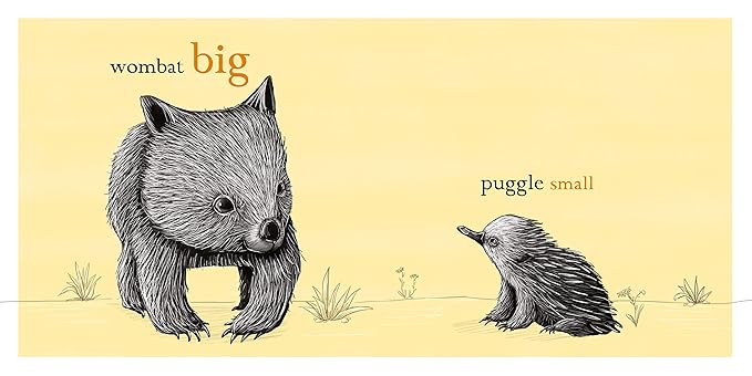 Wombat Big, Puggle Small [Board book]