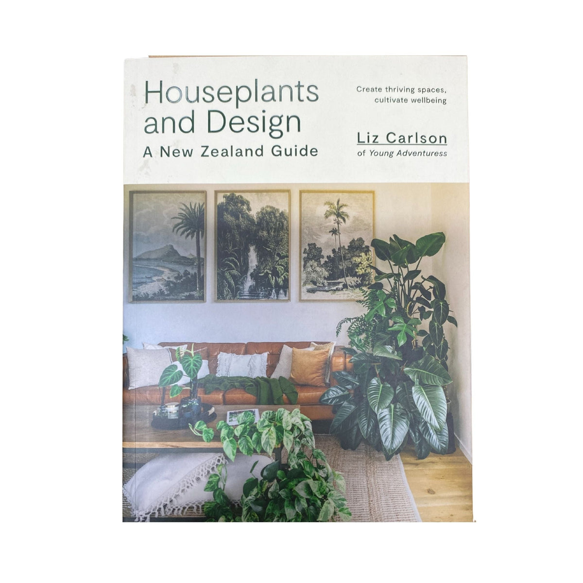 Houseplants and Design A New Zealand Guide