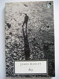 Boy (Penguin Twentieth Century Classics S.)