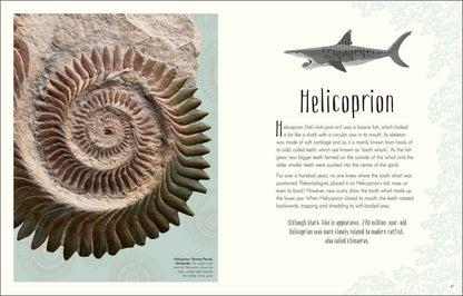 Dinosaurs and other Prehistoric Life