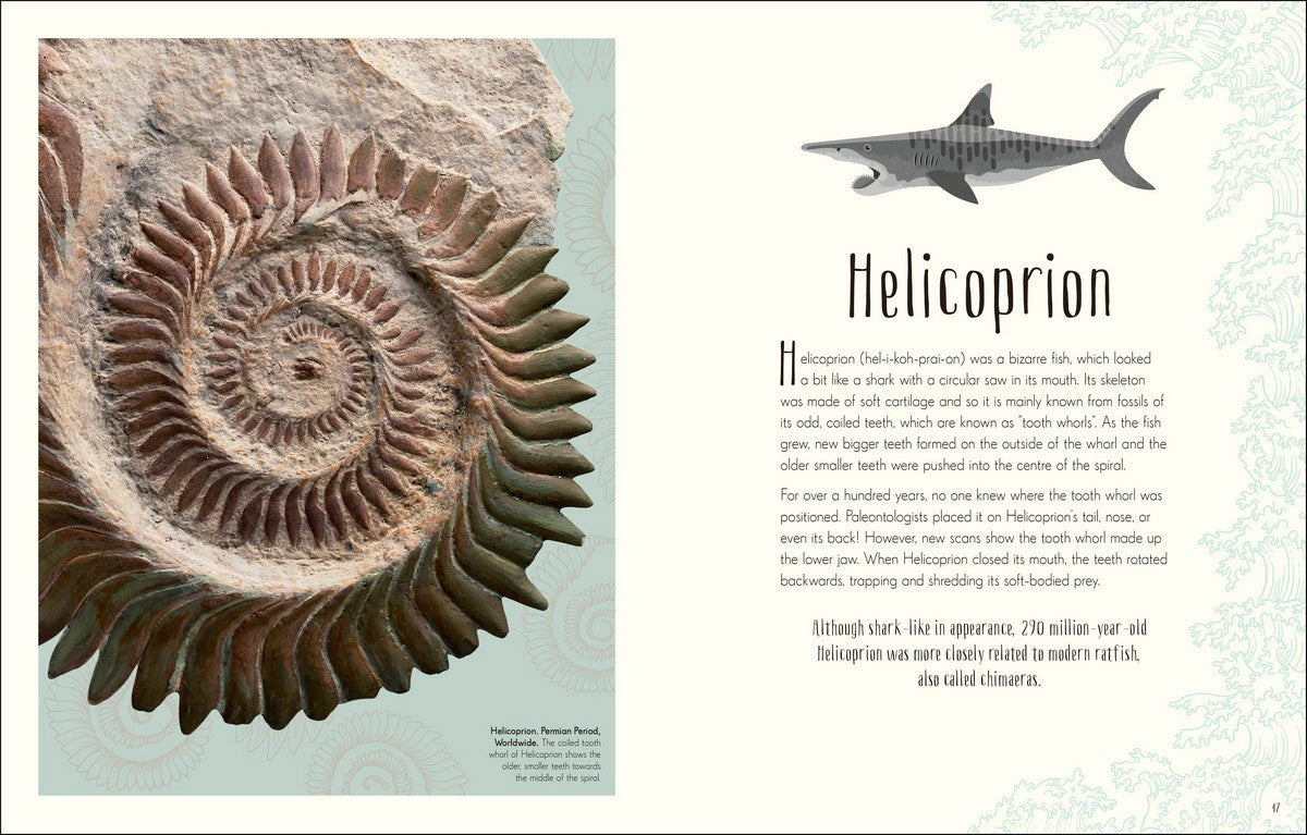 Dinosaurs and other Prehistoric Life