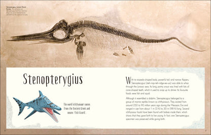 Dinosaurs and other Prehistoric Life