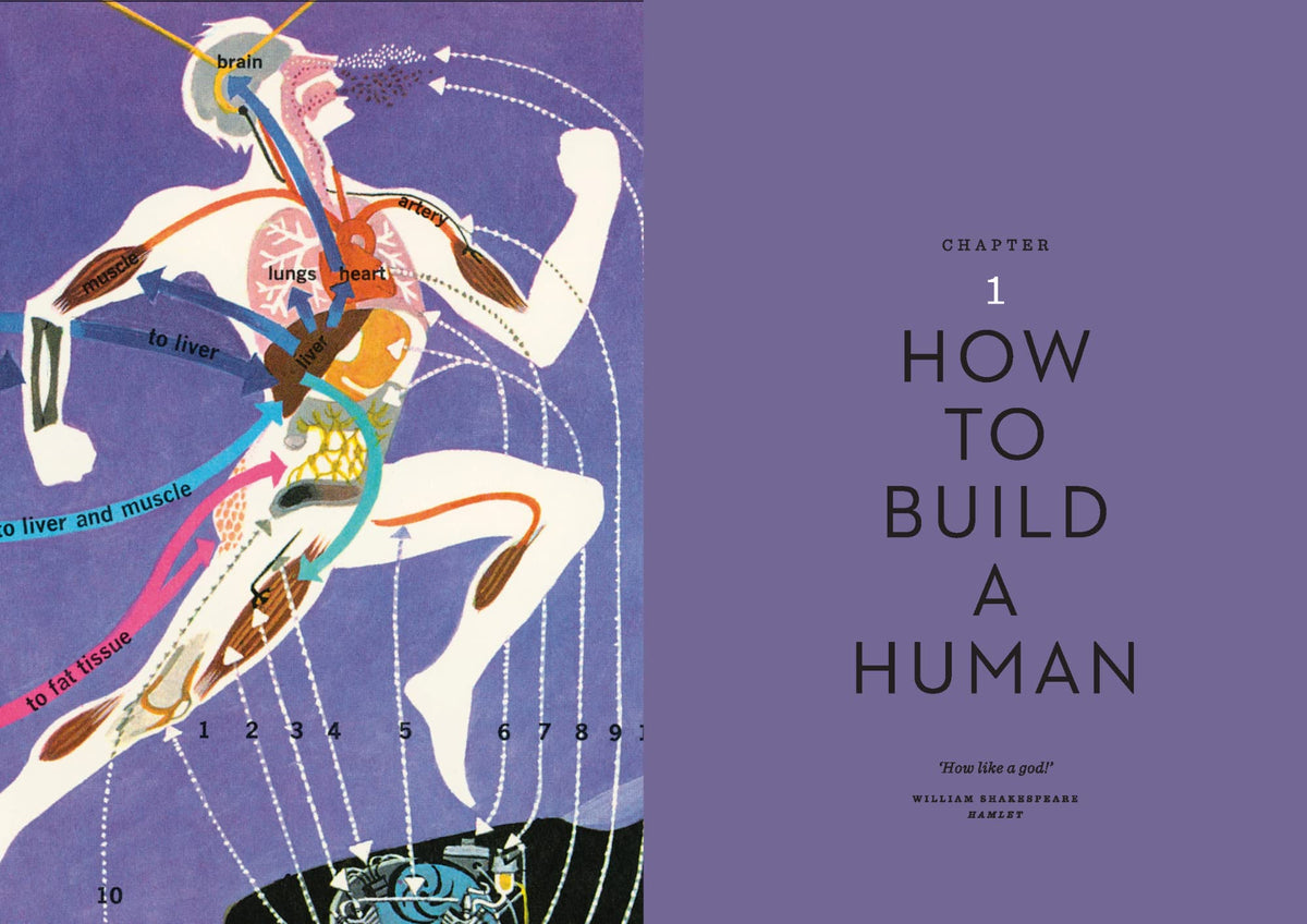 The Body Illustrated A Guide for Occupants