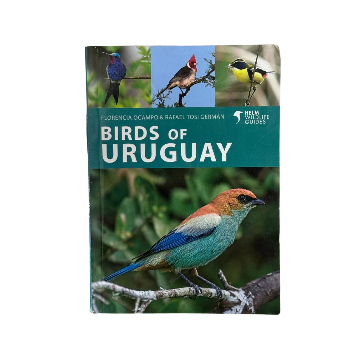 Birds of Uruguay