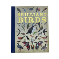 Brilliant Birds