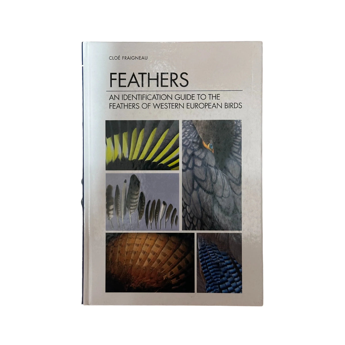 The front cover of Feathers: An Identification Guide to the Feathers of Western European Birds by Cloé Fraigneau, available as an original imported copy at Generation Books Collection Pakistan.