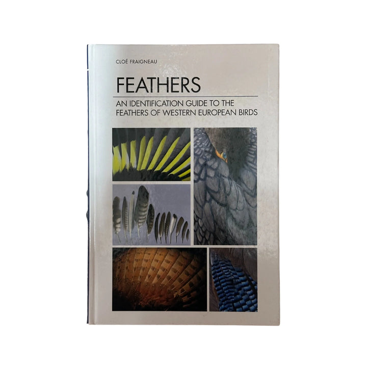 The front cover of Feathers: An Identification Guide to the Feathers of Western European Birds by Cloé Fraigneau, available as an original imported copy at Generation Books Collection Pakistan.