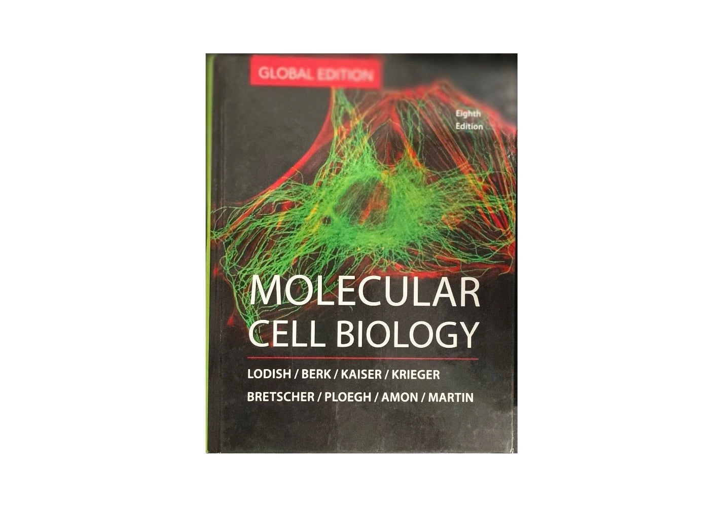 Molecular Cell Biology