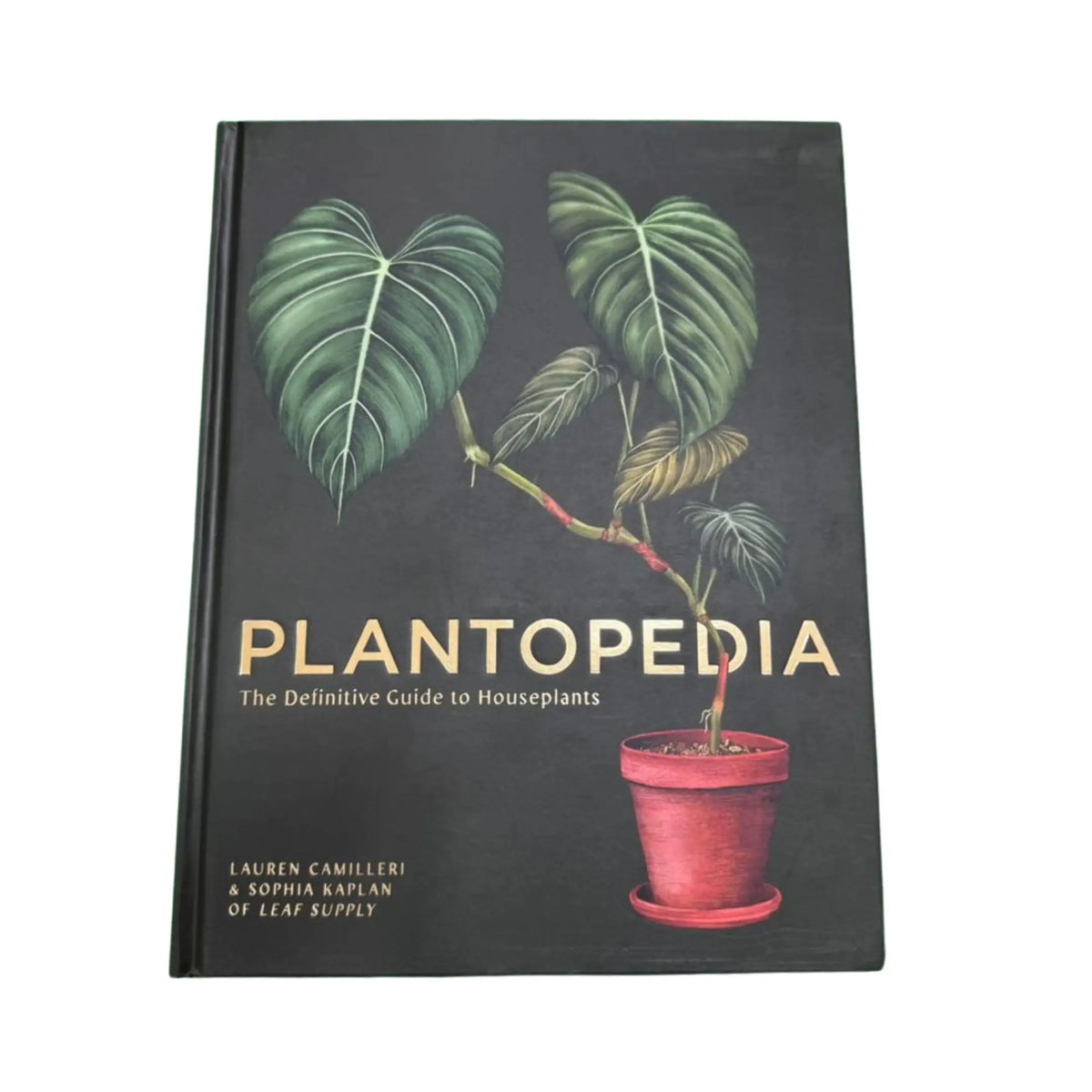Plantopedia The Definitive Guide to Houseplants