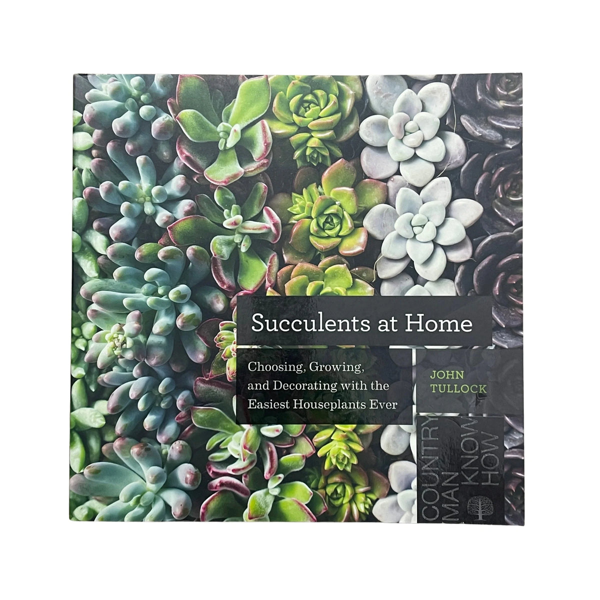 Succulents at Home Choosing, Growing, and Decorating with the Easiest Houseplants Ever