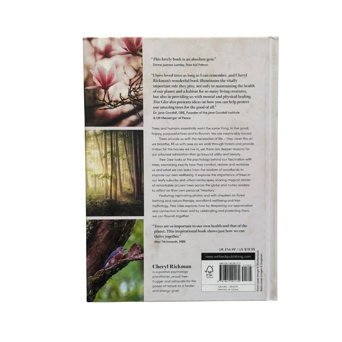 Back cover details of Tree Glee imported edition
