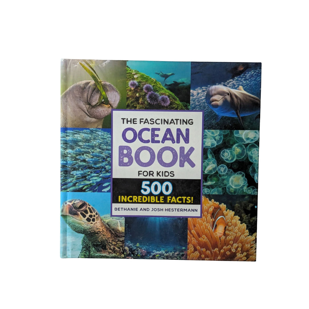 The Fascinating Ocean Book for Kids
