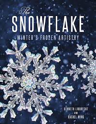 The Snowflake Winter's Frozen Artistry